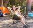 Folding Camping Chair with Swing Kamprock InnovaGoods